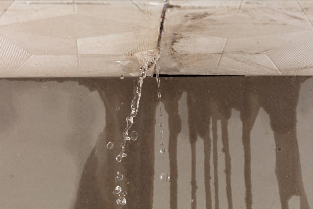 Professional Water Damage Restoration technician working in Pendleton, SC